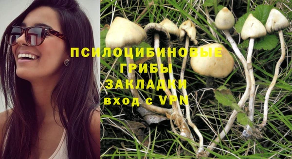 прущая мука Абаза